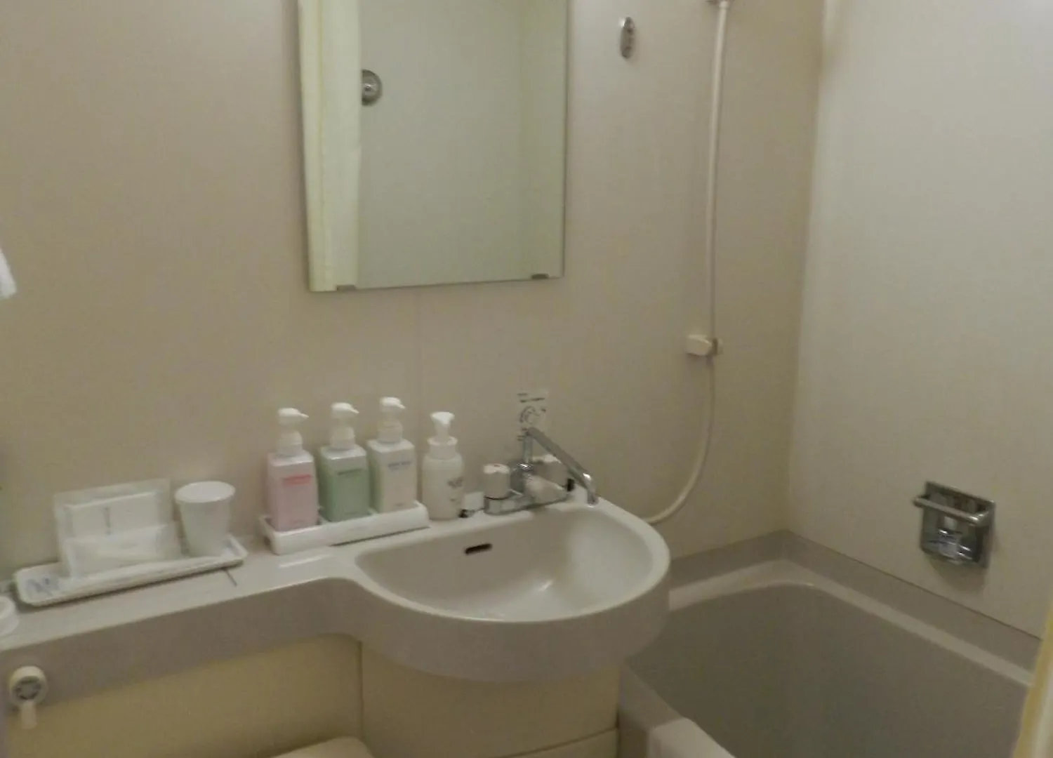 **  Hotel Check In Shimbashi Tokyo Japan